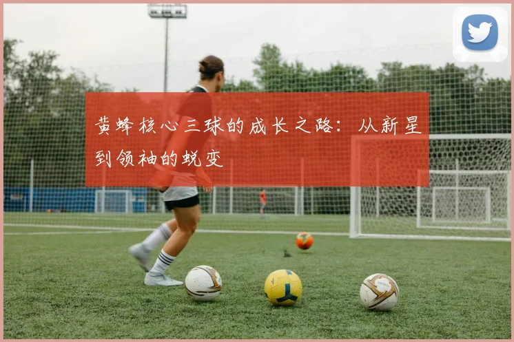 黄蜂核心三球的成长之路：从新星到领袖的蜕变