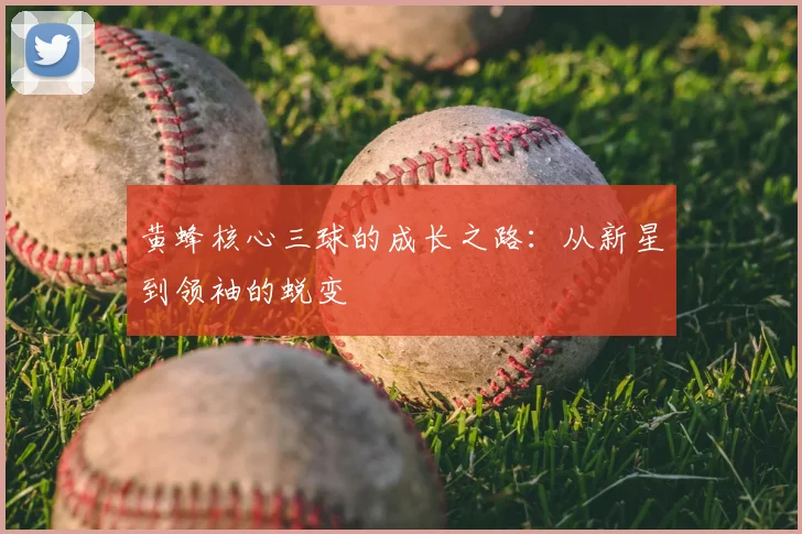 黄蜂核心三球的成长之路：从新星到领袖的蜕变
